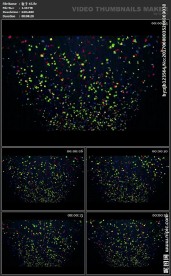 浪漫背景 高级粒子 炫酷 鲜艳