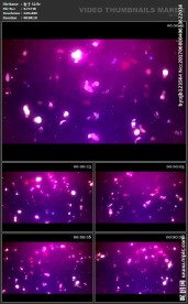 浪漫背景 高级粒子 炫酷 鲜艳