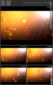 浪漫背景 高级粒子 炫酷 鲜艳