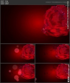 婚礼片头 喜庆 婚庆桃心 春节