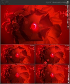 婚礼片头 喜庆 婚庆桃心 春节