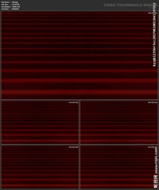 婚礼片头 喜庆 婚庆桃心 春节