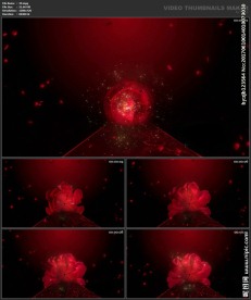 婚礼片头 喜庆 婚庆桃心 春节