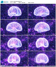 紫色高科技X光大脑光线动态背景