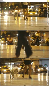 美女牵着小狗在街上行走