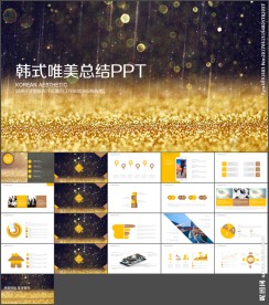 土豪金金色 述职报告PPT