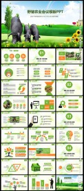 生态农业土猪养殖工作动态ppt