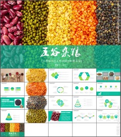 农产品农作物五谷杂粮PPT模板