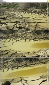 干裂的土地