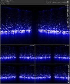 仙境梦幻 唯美浪漫 婚礼背景