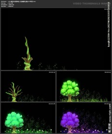 唯美浪漫 婚礼背景 生长的树