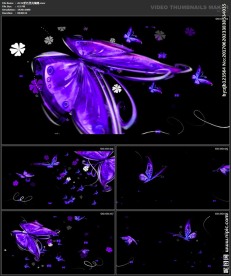 唯美浪漫 婚礼背景 蝴蝶梦幻