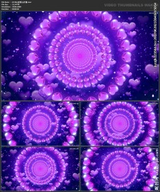 唯美浪漫 婚礼背景  桃心圆形