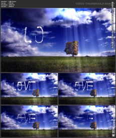 浪漫背景 婚礼婚庆 喜庆节日