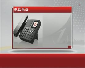 电话采访模板