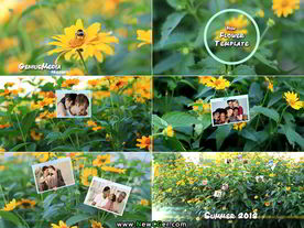 夏日故事相册模板素材