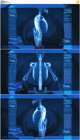 科技医学脊椎背景