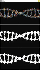 3d转动的dna