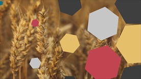 50种图形动画转场过渡