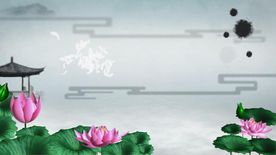 荷花背景视频素材