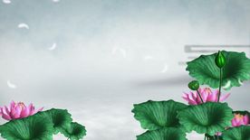 荷塘树叶飘落背景视频素材