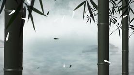 古风近景竹子视频素材