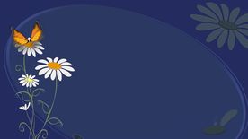 花与蝴蝶相框视频素材