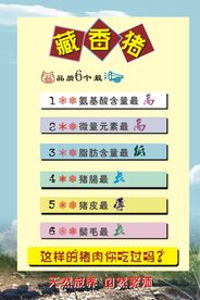 藏香猪品质六个最