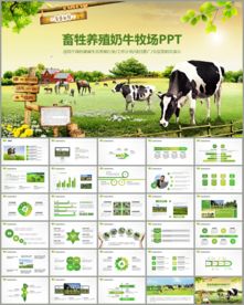 草原畜牧业奶牛养殖乳业PPT