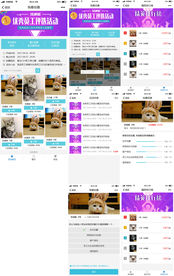 全套投票app页面设计