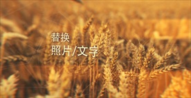 全景模式图片展示