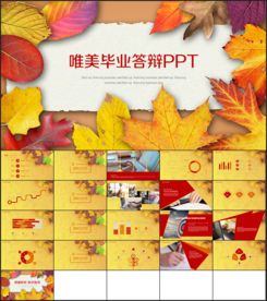 唯美毕业答辩 教育培训PPT