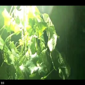 东营风光-雨季夜晚