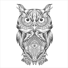 猫头鹰矢量图案