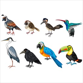 手绘鸟矢量图案