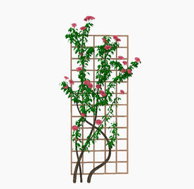 花架藤蔓植物模型