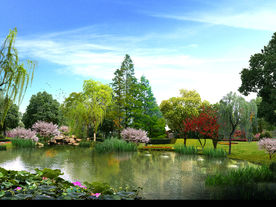 自然水景 效果图