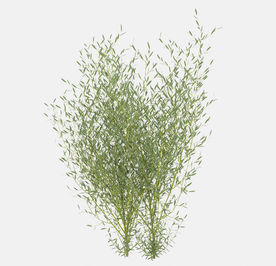 庭院装饰植物模型