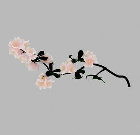 室外植物花藤模型