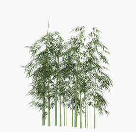 竹子模型