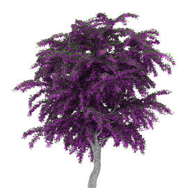 景观盆栽花模型