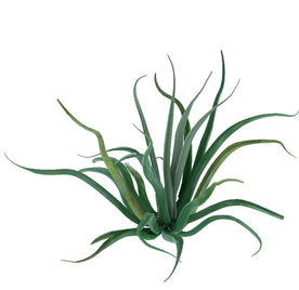 路边绿色植物模型