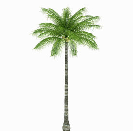 热带棕榈模型