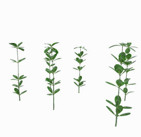 绿苗植物模型