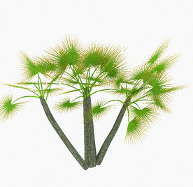 绿色针状植物模型