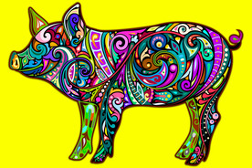 超巨大异域民族风彩色家猪