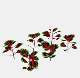 绿色叶植物模型