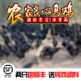乌鸡养殖基地创意直通车主图设计