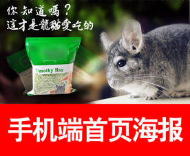 宠物粮食创意手机端轮播海报设计