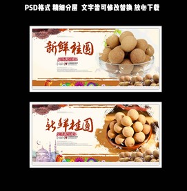 简洁中国风新鲜桂圆展板设计